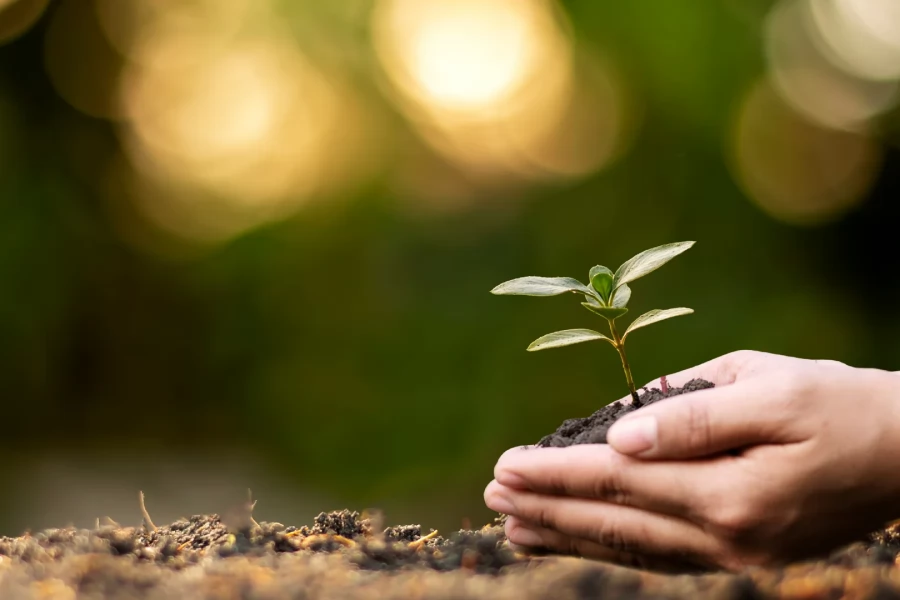 Çevre Dostu Üretim Politikaları İş Ortaklarına Ne Kazandırır?